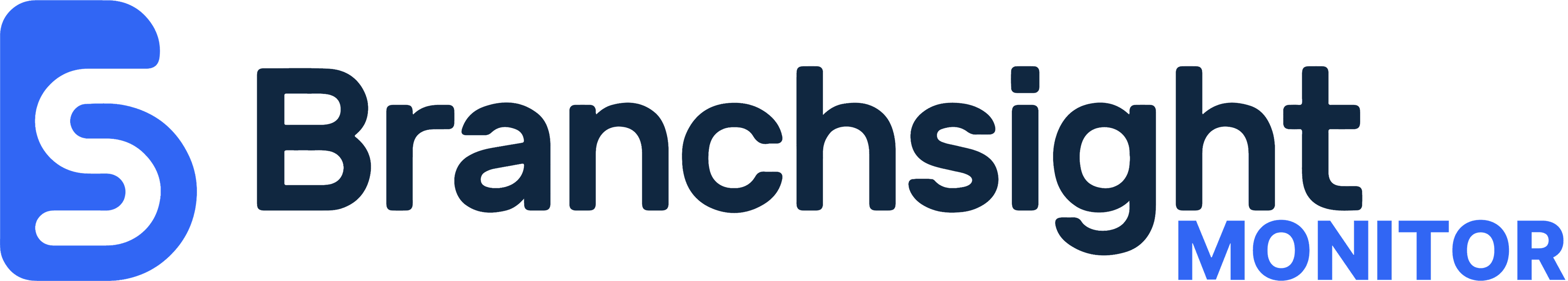 Branchsight Monitor